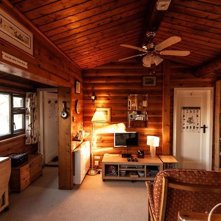 Rustic Log Cabin In Snowdonia By Seren Short Stays Trawsfynydd المظهر الخارجي الصورة