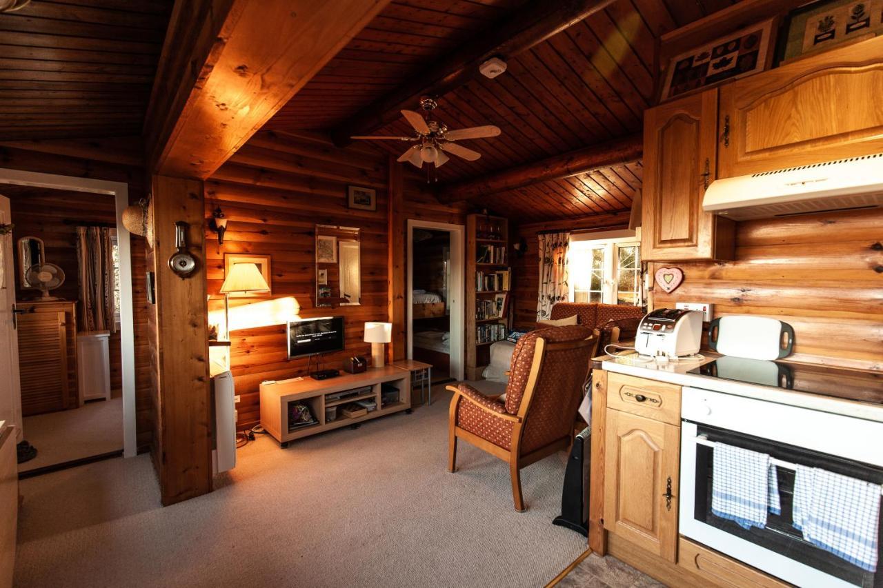 Rustic Log Cabin In Snowdonia By Seren Short Stays Trawsfynydd المظهر الخارجي الصورة