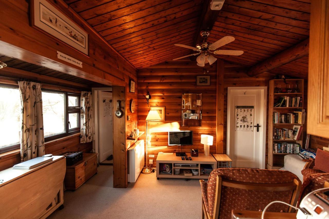 Rustic Log Cabin In Snowdonia By Seren Short Stays Trawsfynydd المظهر الخارجي الصورة