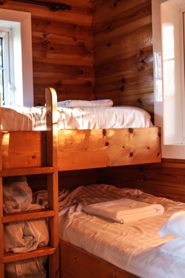 Rustic Log Cabin In Snowdonia By Seren Short Stays Trawsfynydd المظهر الخارجي الصورة