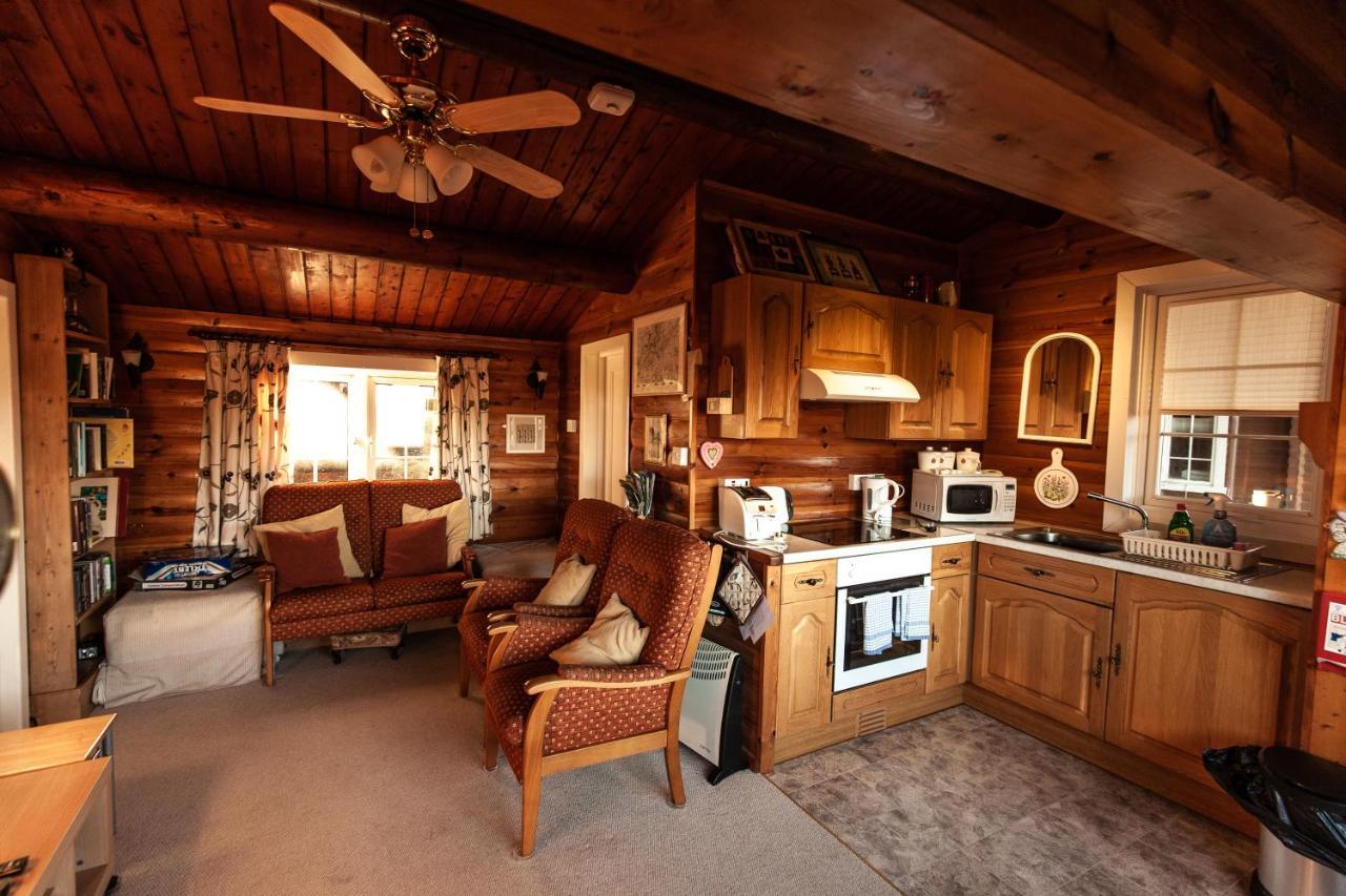 Rustic Log Cabin In Snowdonia By Seren Short Stays Trawsfynydd المظهر الخارجي الصورة