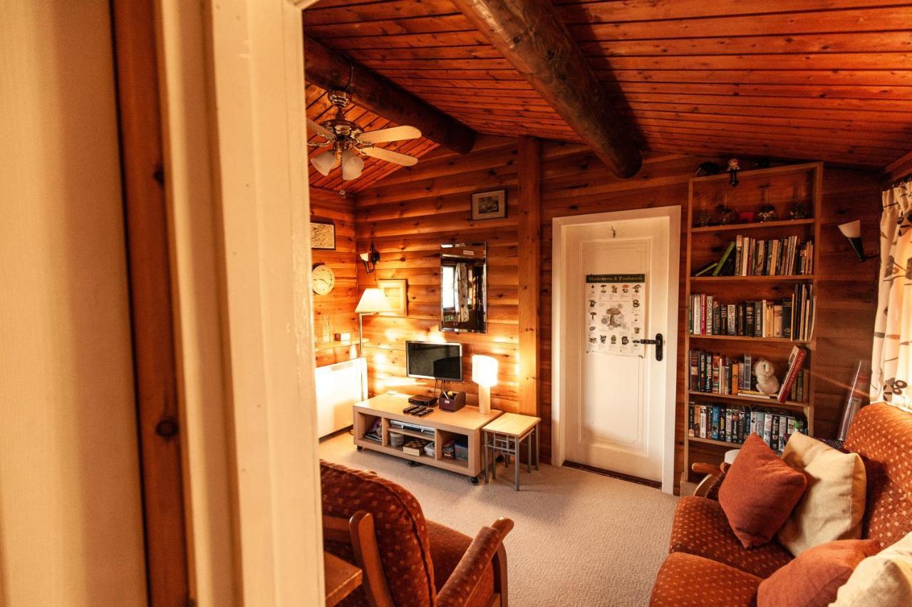 Rustic Log Cabin In Snowdonia By Seren Short Stays Trawsfynydd المظهر الخارجي الصورة